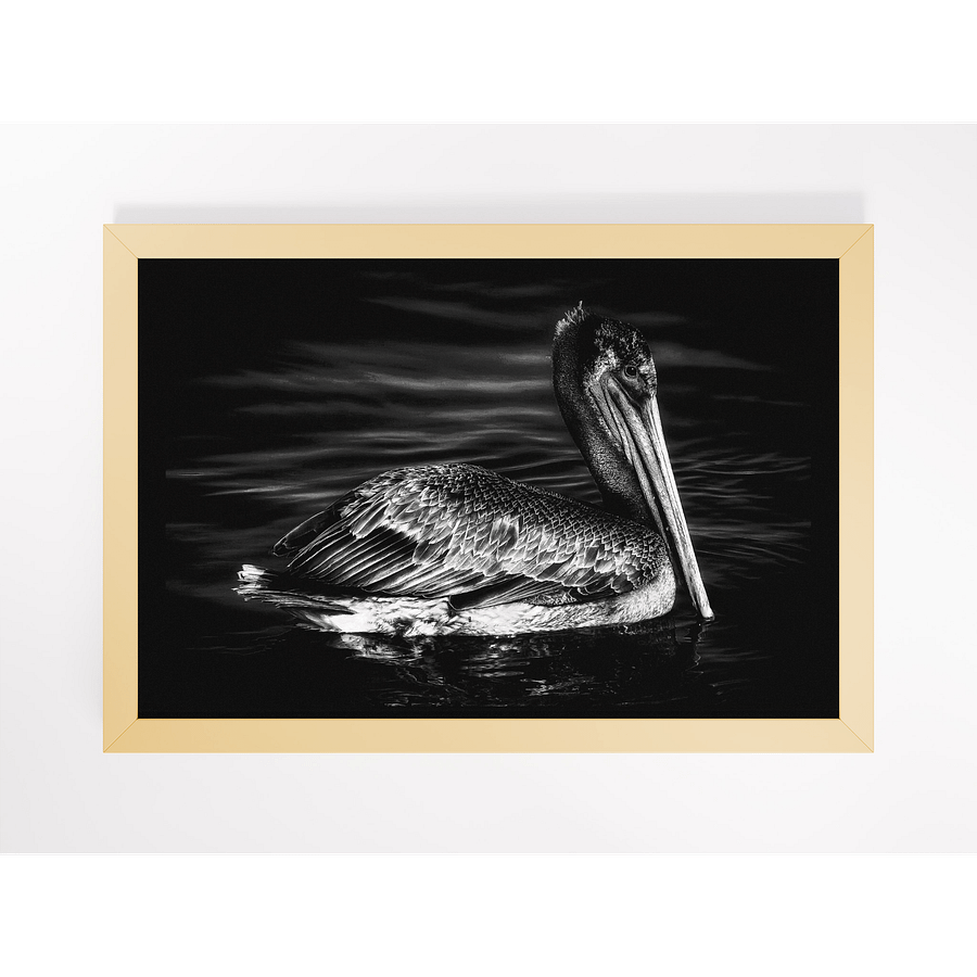 Pelican I Framed Print product image (1)