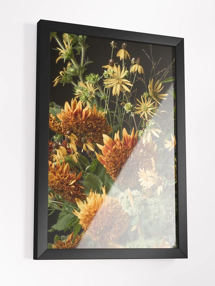 Comets Falling product image (10)