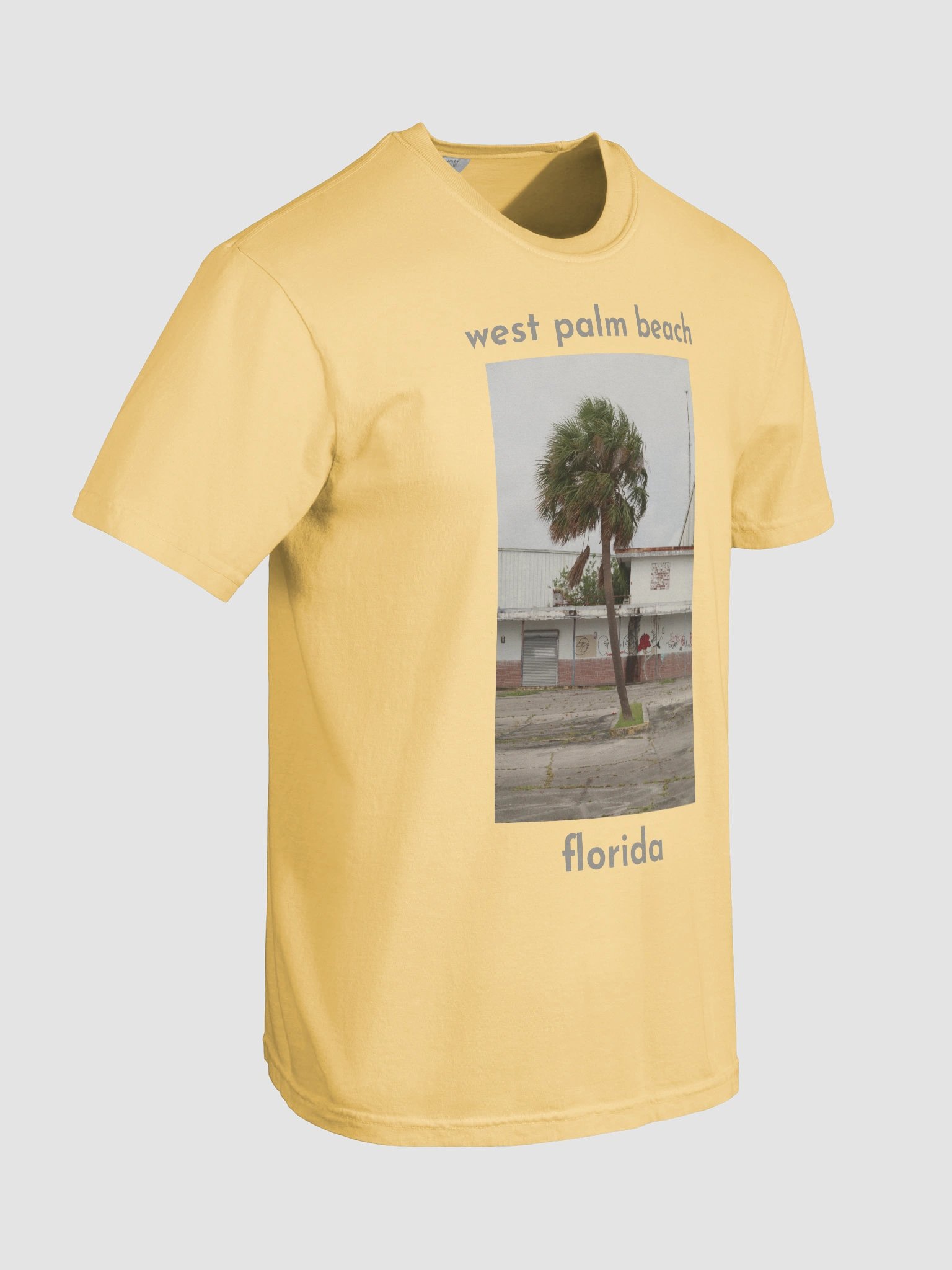 Palm Beach Tee product image (68)