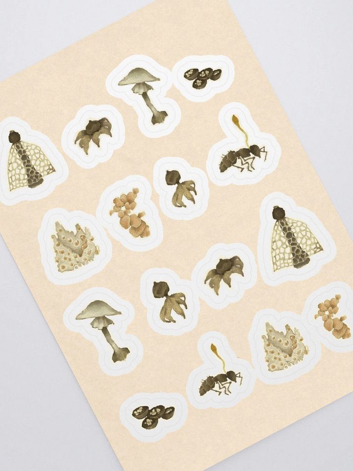 Mycology product image (1)