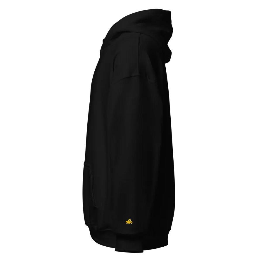 Very Fancy Embroidered Hoodie product image (2)