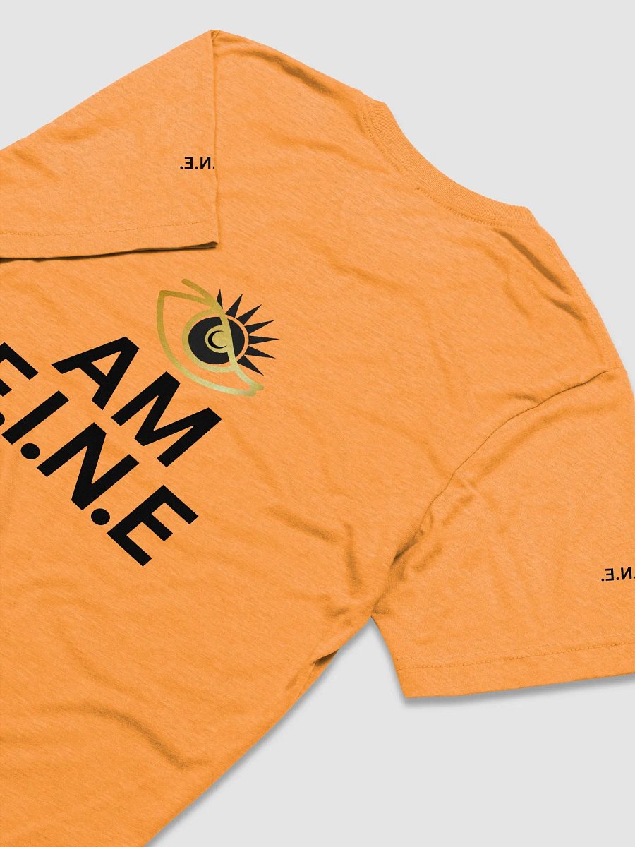 Whole World Apparel High Visibility T-Shirt product image (4)