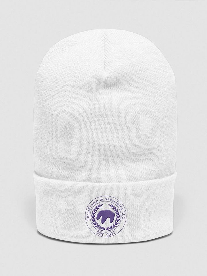 Purple OEM FormFrame and Associates LLC Beanie product image (41)