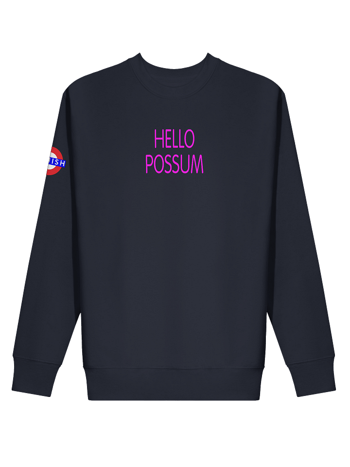 Hello Possum Graphic Crewneck - Hot Pink product image (1)