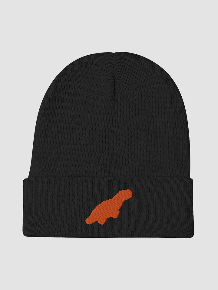Dino Beanie product image (2)