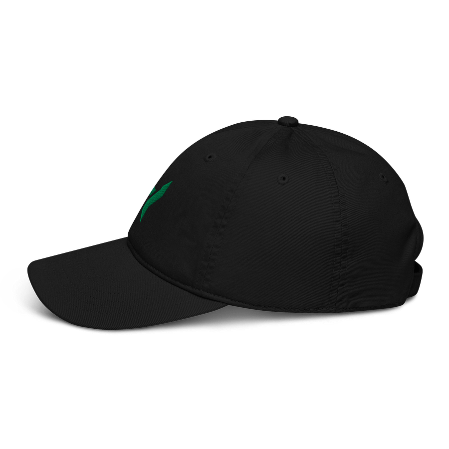 Emblem blend dad hat product image (5)