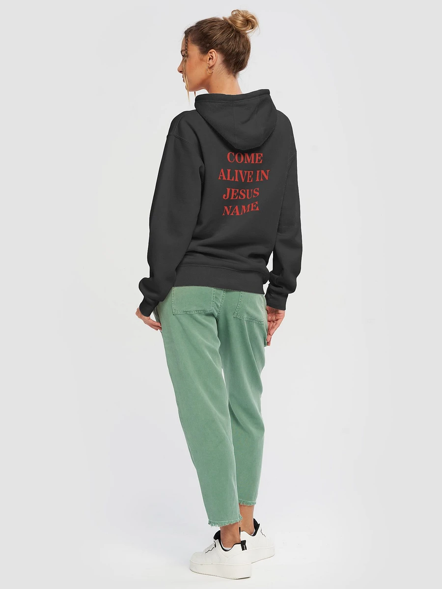 Come Alive in Jesus Name - Hoodie product image (6)