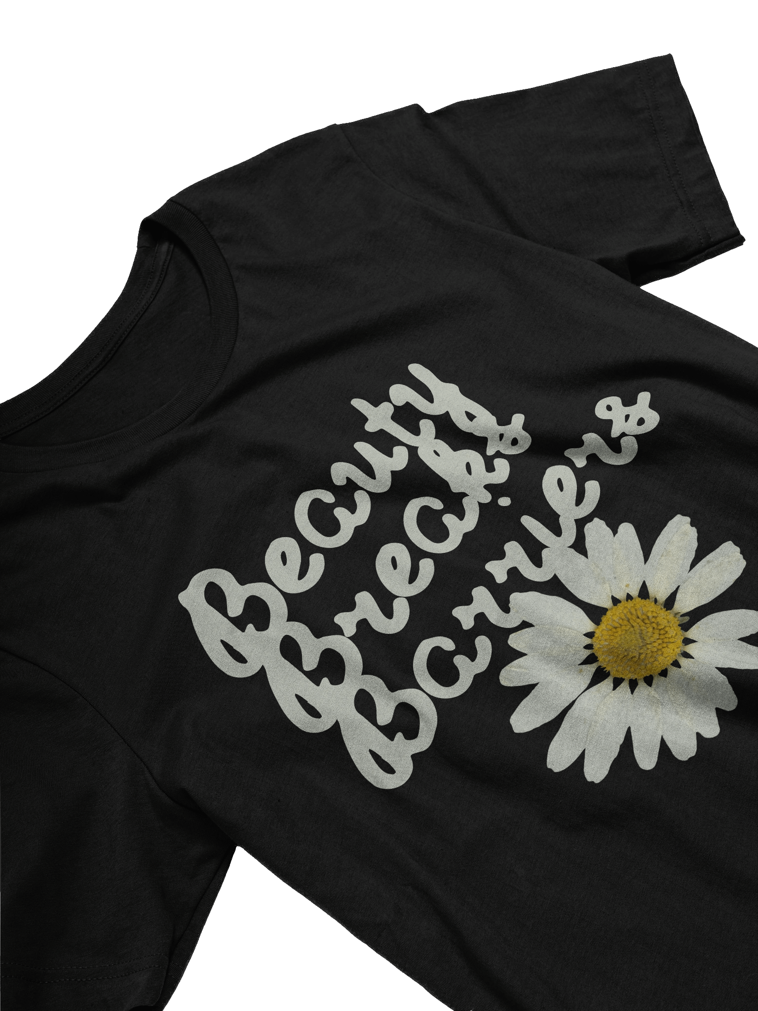 Beauty breaks Barriers product image (3)