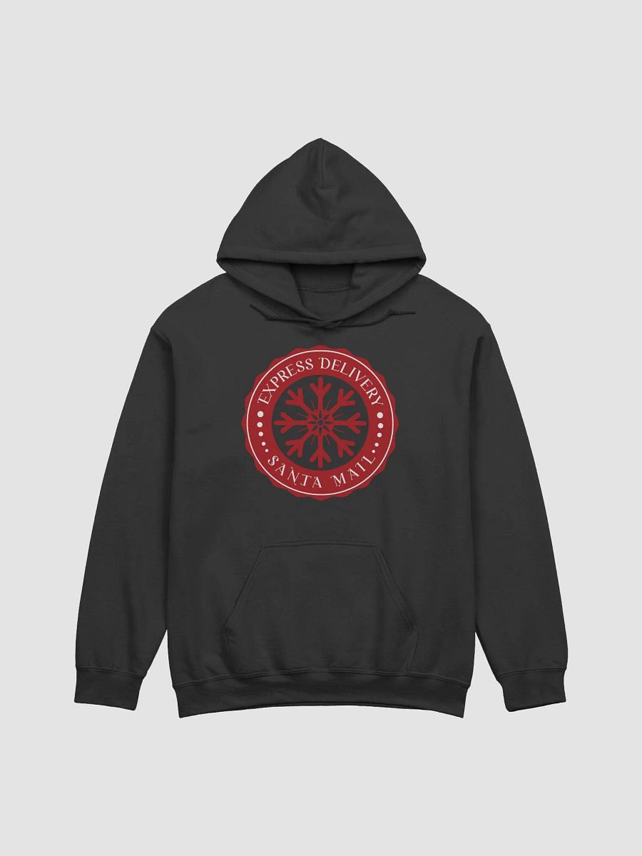 Santa Mail Express Postal Worker Unisex Hoodie product image (1)