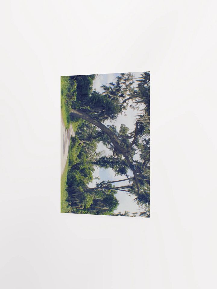Gates of Heaven product image (17)