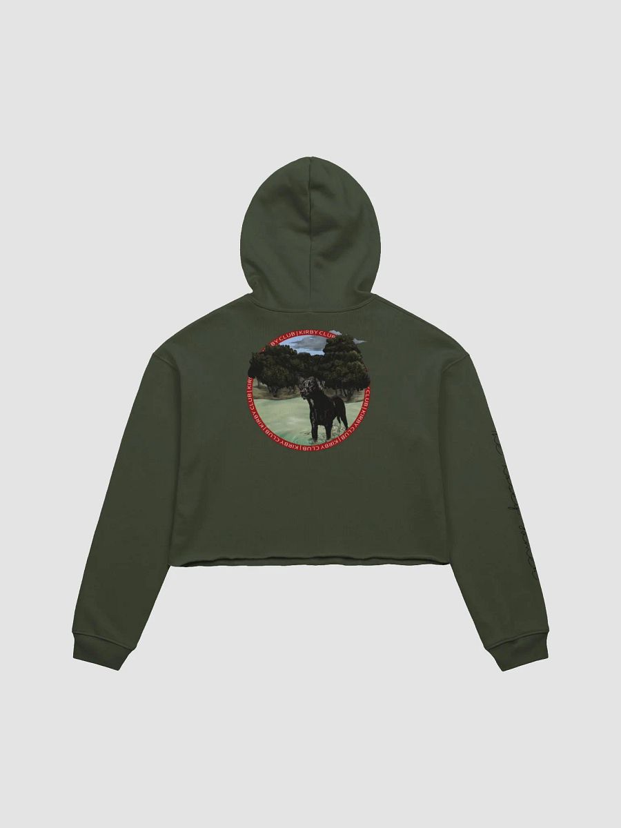 Kirby Club Crop Hoodie product image (2)