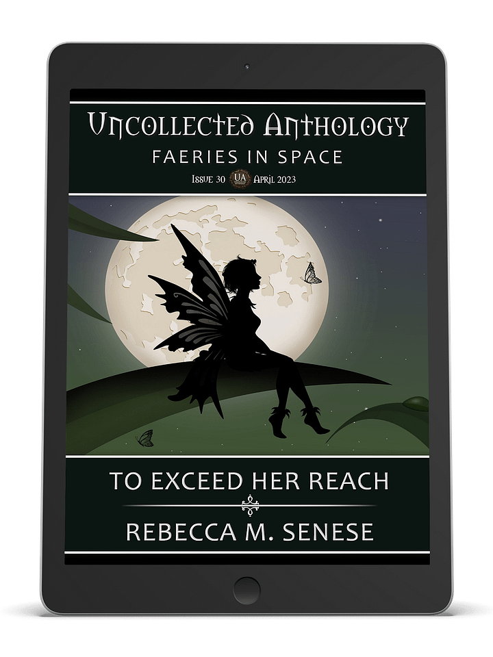 To Exceed Her Reach product image (1)