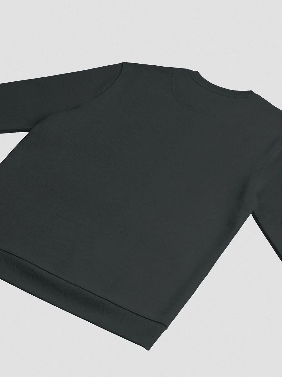 S Bolt Logo Crew Neck - Dark product image (10)