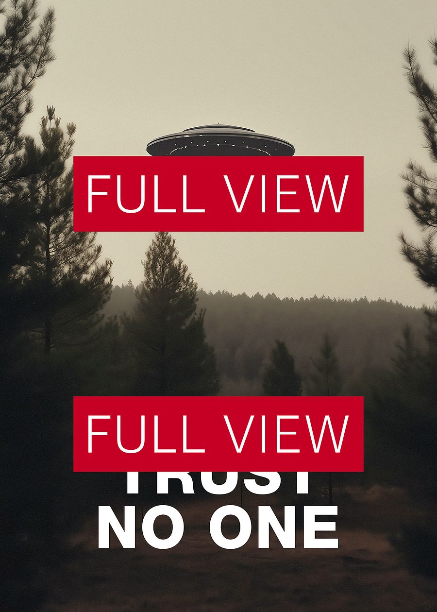Trust No One/The X-Files poster, S01E24 1994 — sci-fi poster, movie art, I want to believe poster, space print, aliens wall decor product image (3)