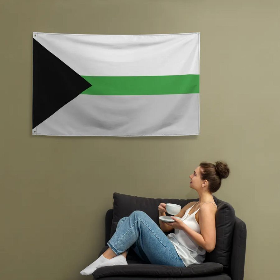 Demiromantic Flag product image (12)