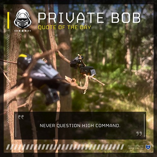 Daily Wisdom with PVT Bob. [ 07/07/2185 ]

#helldivers2 #helldivers #fanmade #gaming #ps5 #xbox #lego #nature #photography