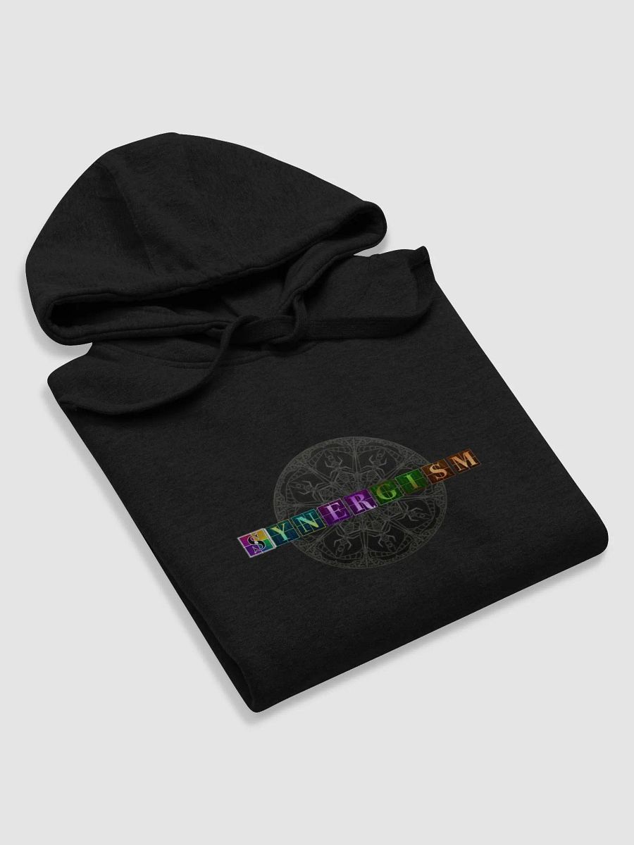 Synergism Hoodie Unisex product image (5)