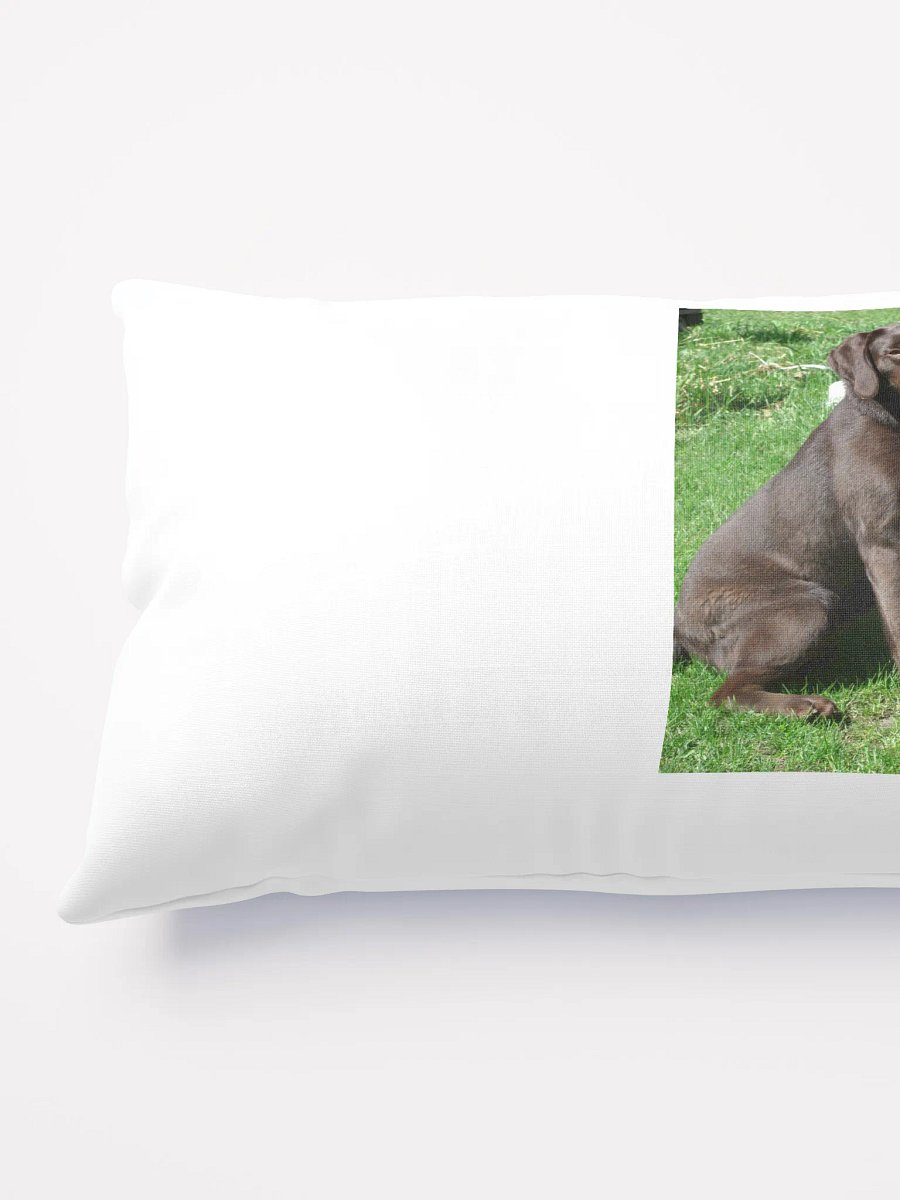 farm dog product image (8)