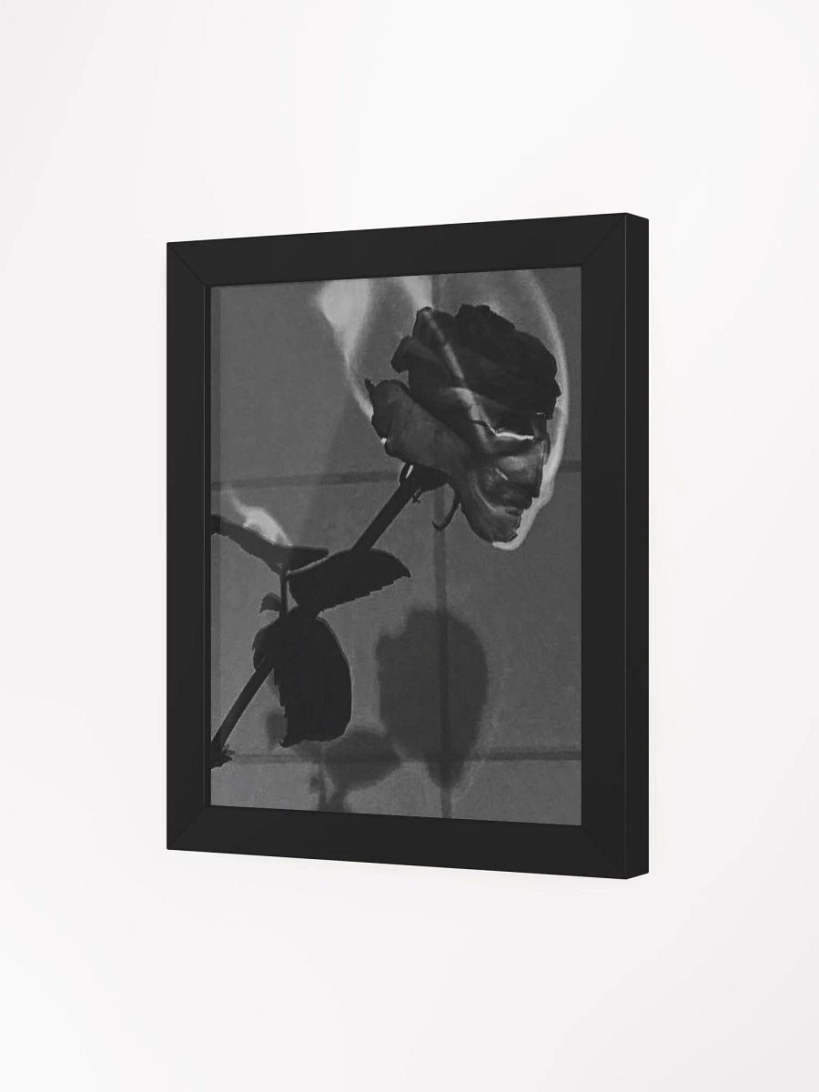 ROSE product image (3)