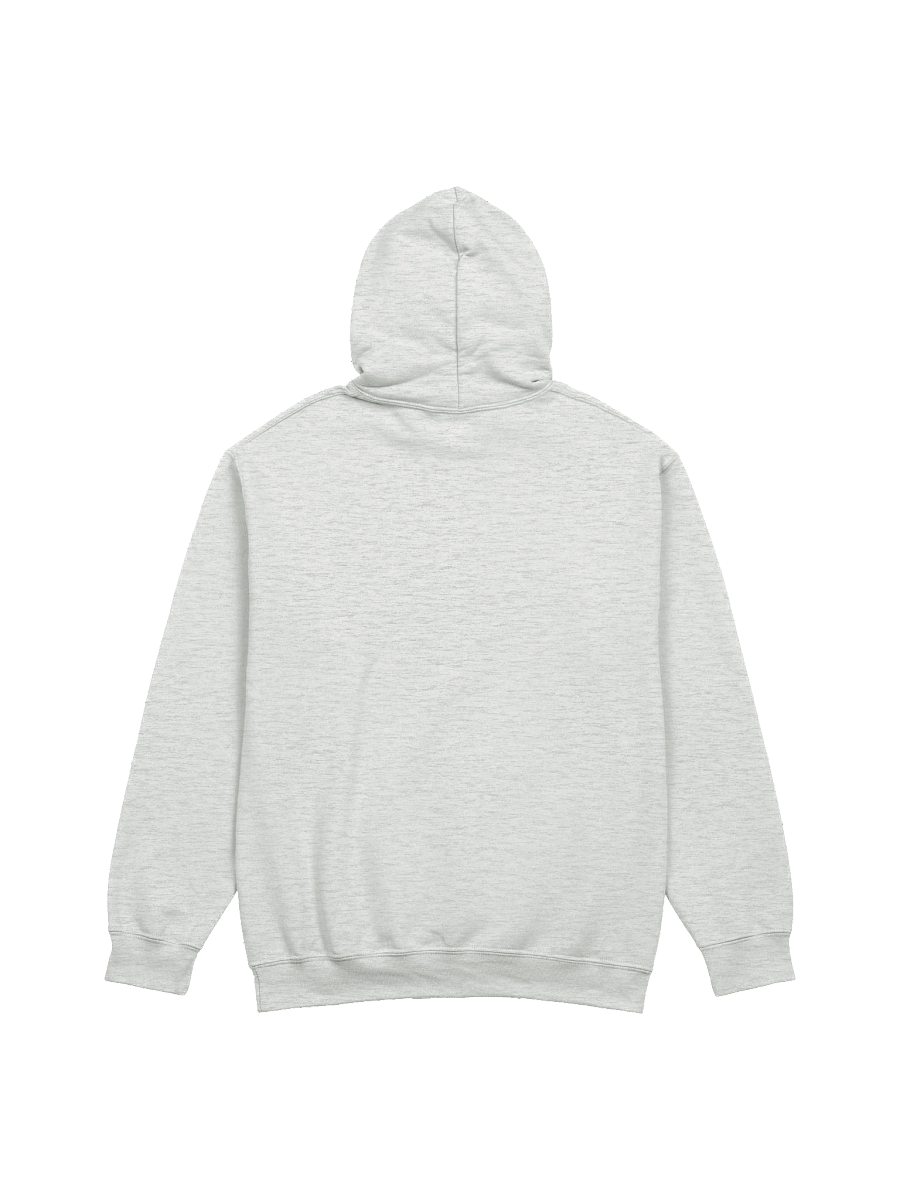 Please Turn Off Fox News. It Will Help America! - Hoodie product image (4)
