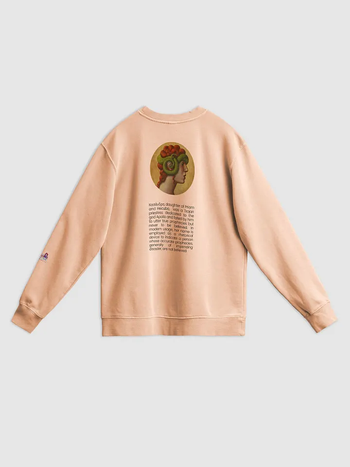 KASSANDRA FORESIGHT pigment dyed sweatshirt product image (5)