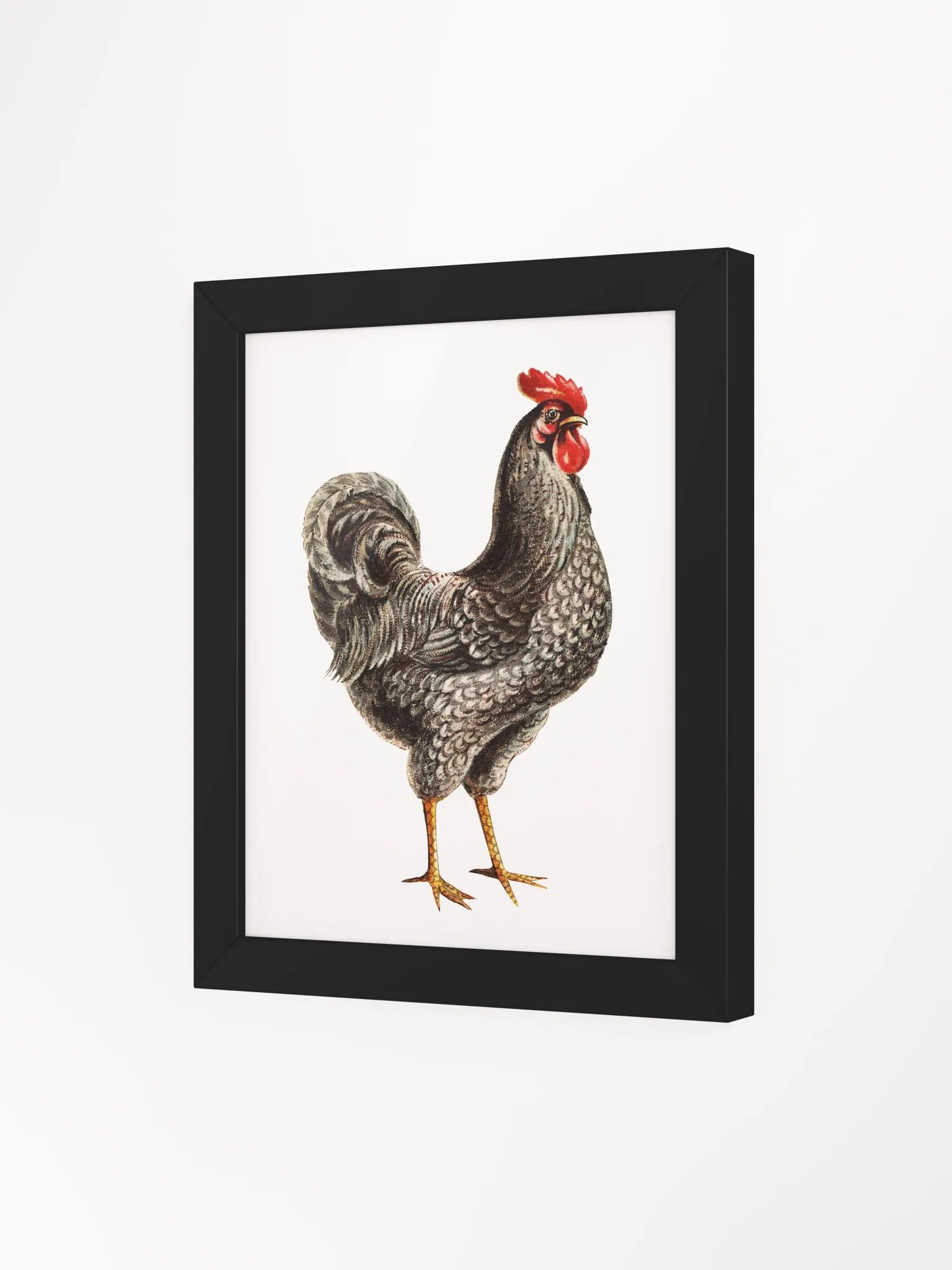 'Elegant Rooster' Framed Matte Poster product image (3)