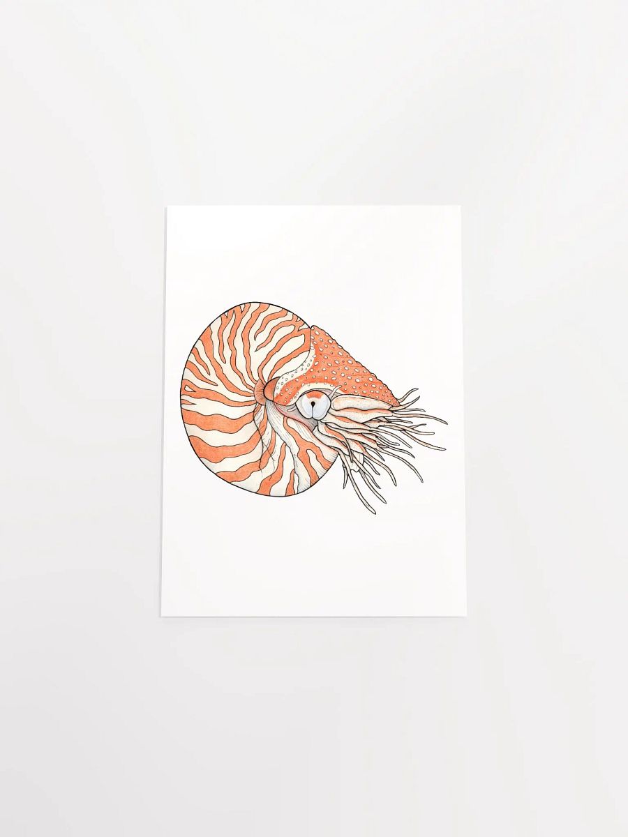 Ancient Mollusk print product image (4)