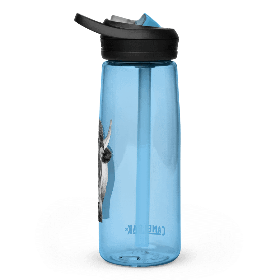 Bison Drawing Water Bottle Straw product image (61)