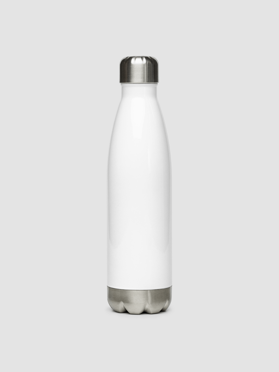 Stainless Steel Water Bottle product image (4)