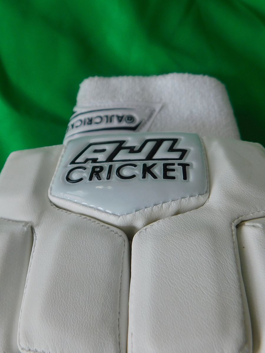 Cricket Batting Gloves product image (4)