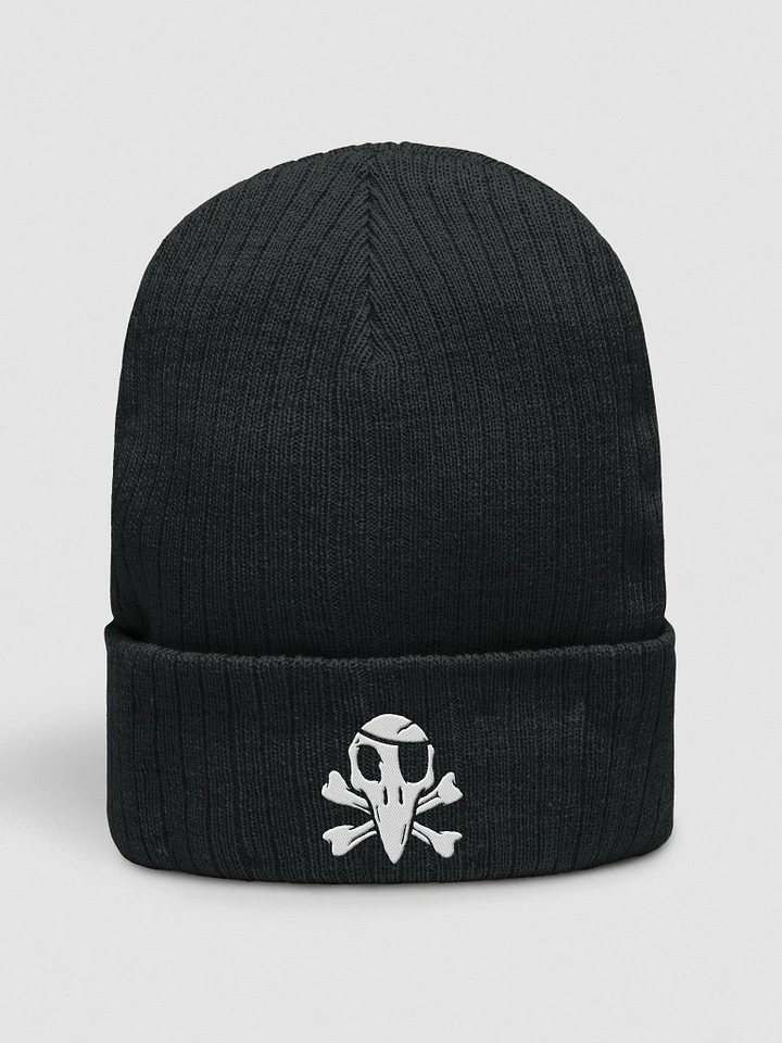Crow and Crossbones Embroidered Beanie product image (1)