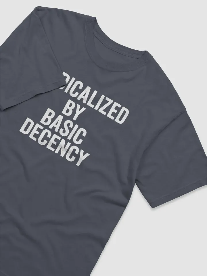 Radicalized Basic Decency T-Shirt product image (2)