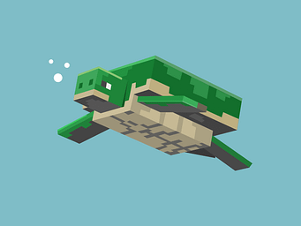 Turtle Supporter