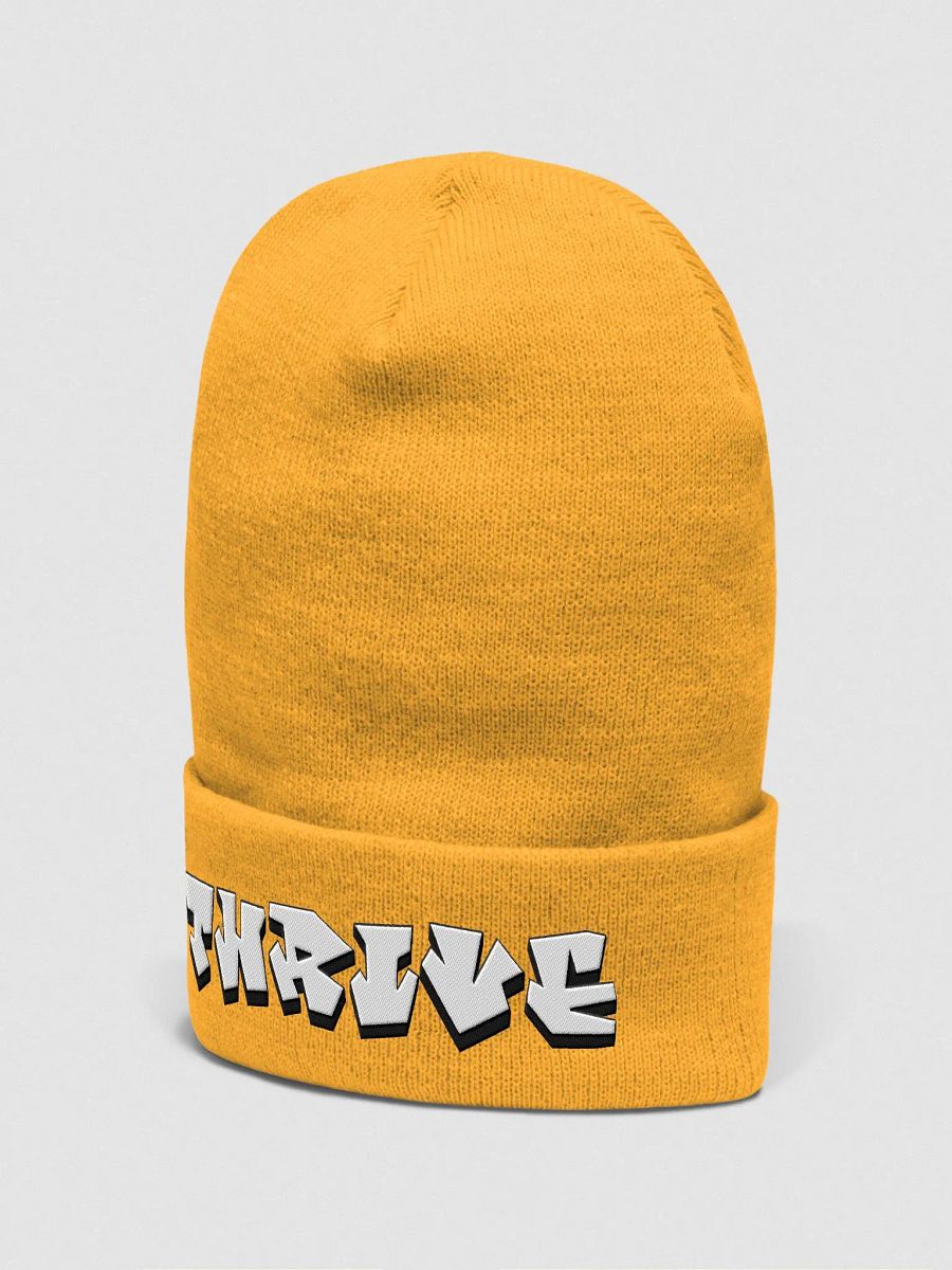 THRIVE, Graffiti, Beanie product image (2)
