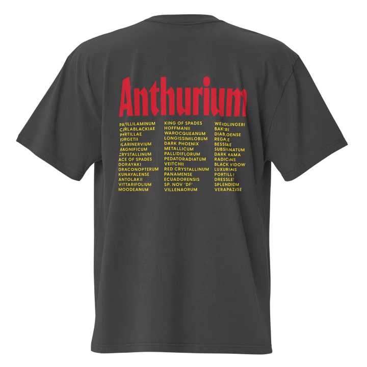 ⚡️ ANTHURIUM WORLD TOUR ⚡️ oversized tee product image (2)