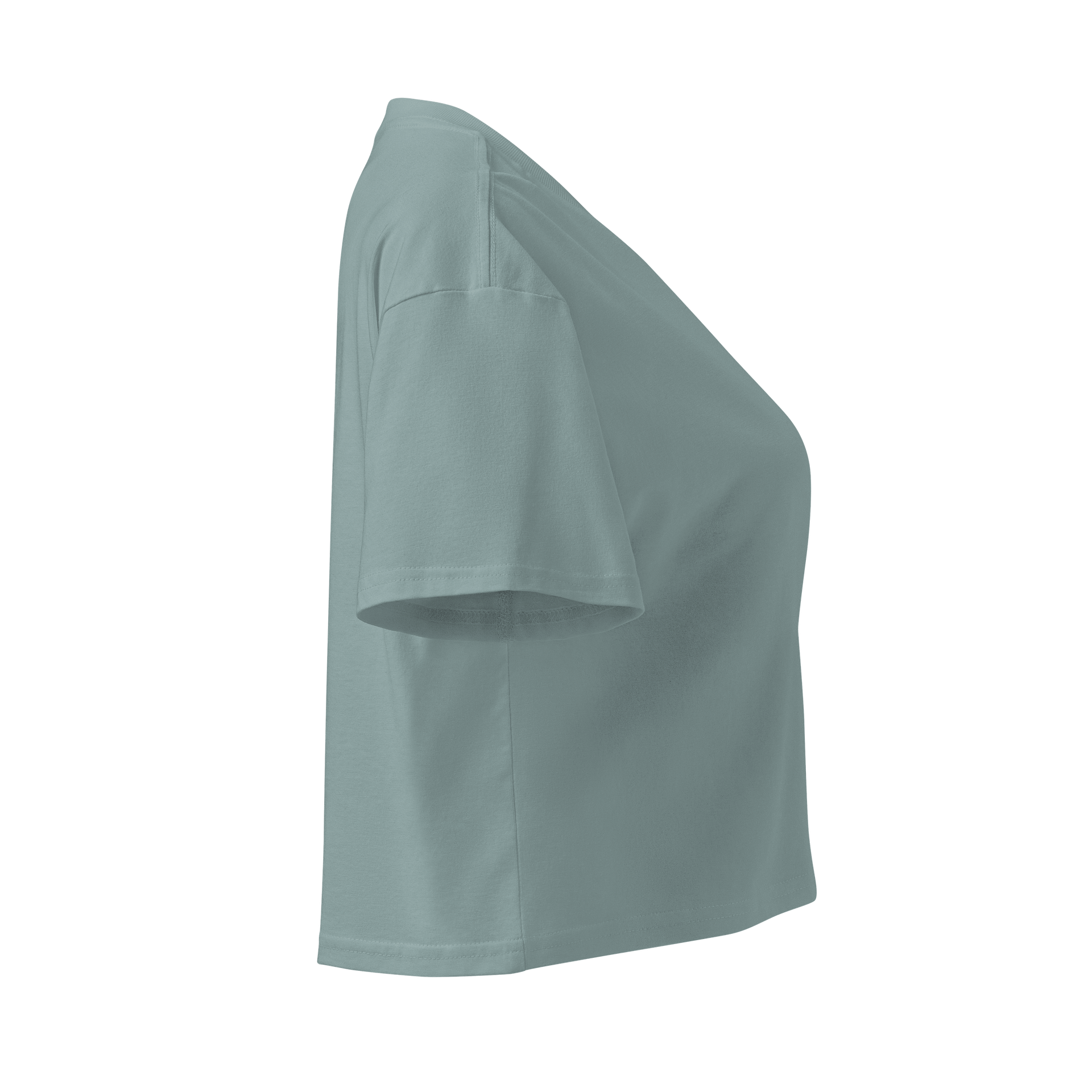 Cropped Tee - Classic Logo. product image (16)