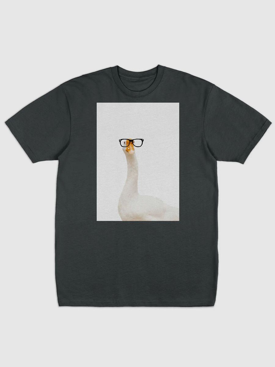 Silly Goose T shir t2 product image (1)