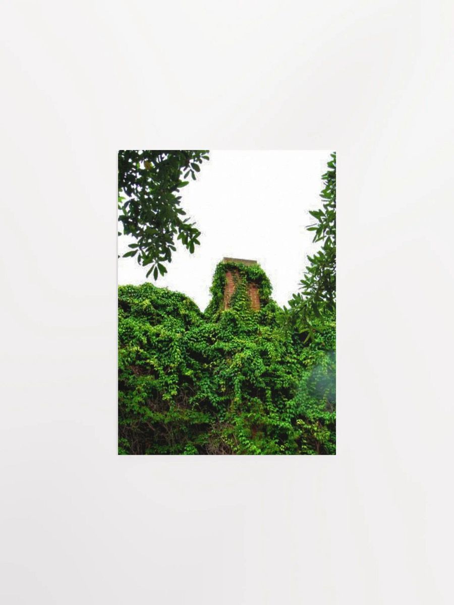 Plant Over-Growth product image (13)