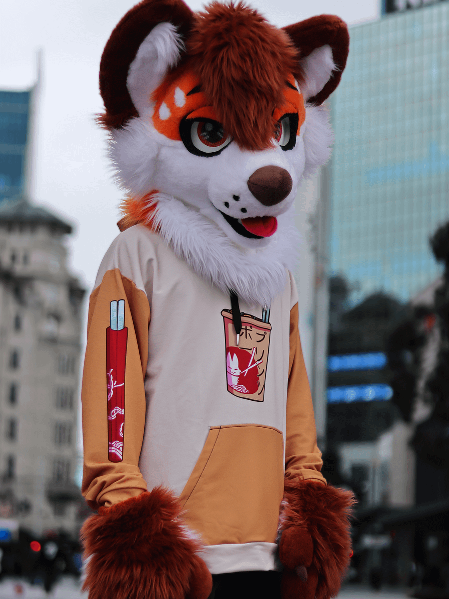 Ramen Fox Hoodie product image (3)