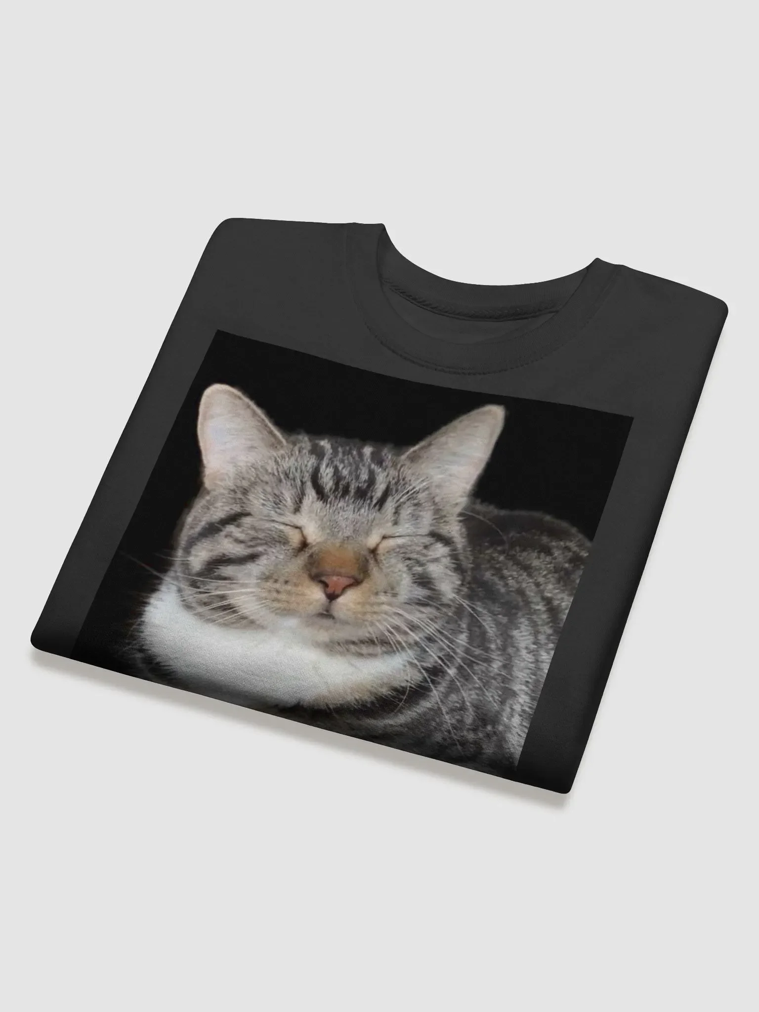 Scooter Cat Sweatshirt product image (4)