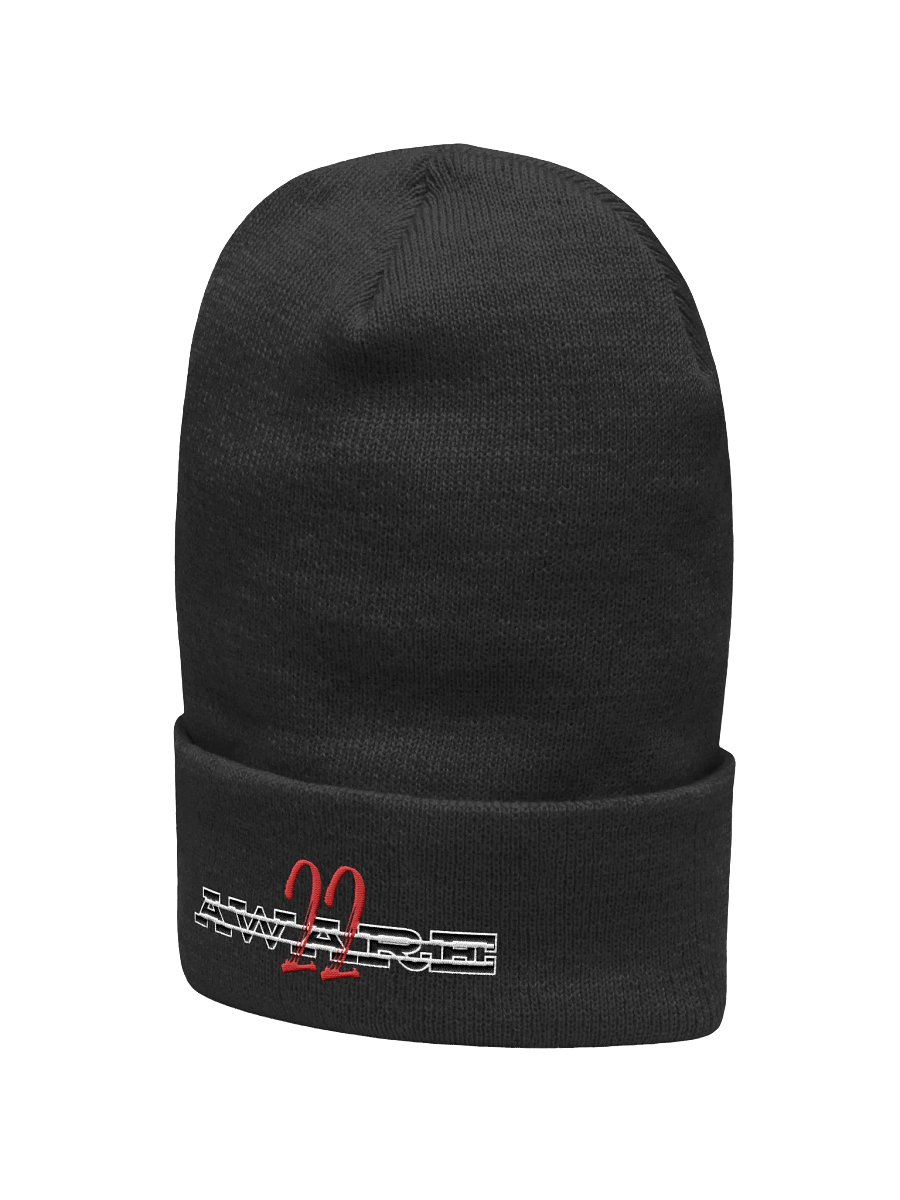 22AWARE BEENIE product image (5)