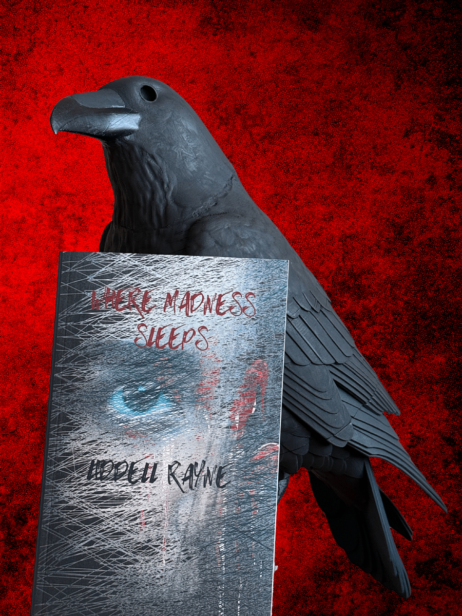 Signed paperback copy of Where Madness Sleeps product image (4)