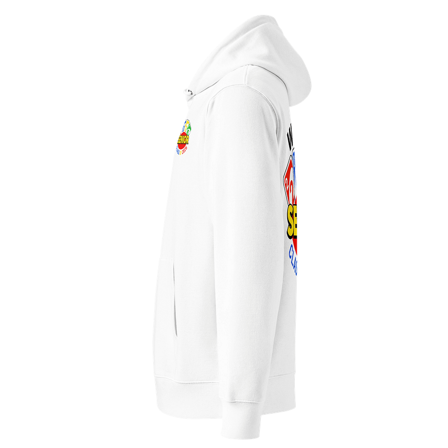 Class of 2026 Senior Hoodie product image (3)