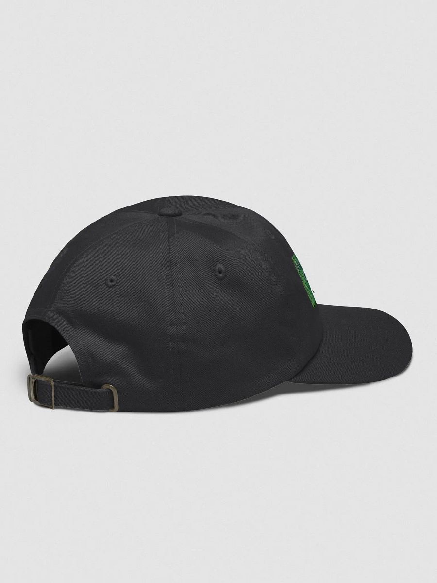 Anti-Vaxxers Cap product image (4)