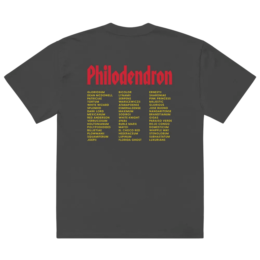 ⚡️ PHILODENDRON WORLD TOUR ⚡️ oversized tee product image (4)