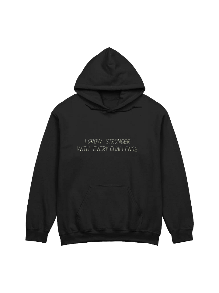 Minimalist Hoodie- Black product image (1)