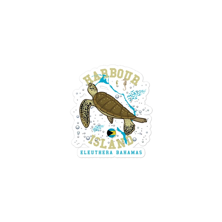 Harbour Island Bahamas Magnet : Eleuthera Bahamas Sea Turtle product image (2)