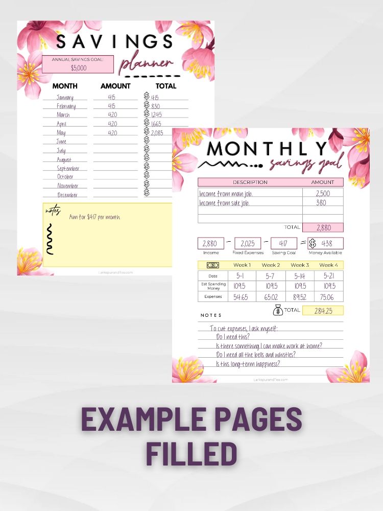 Kakeibo Budget Planner product image (2)