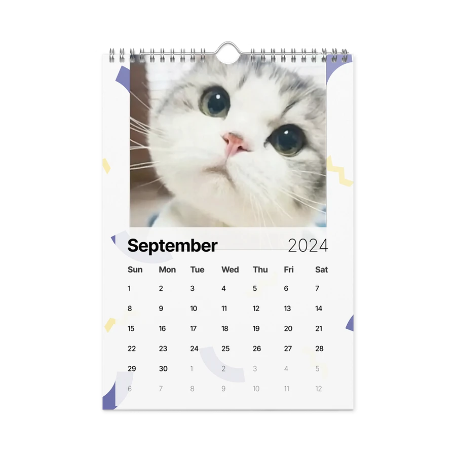 Wall Calendar (2024): Meme Cats product image (18)