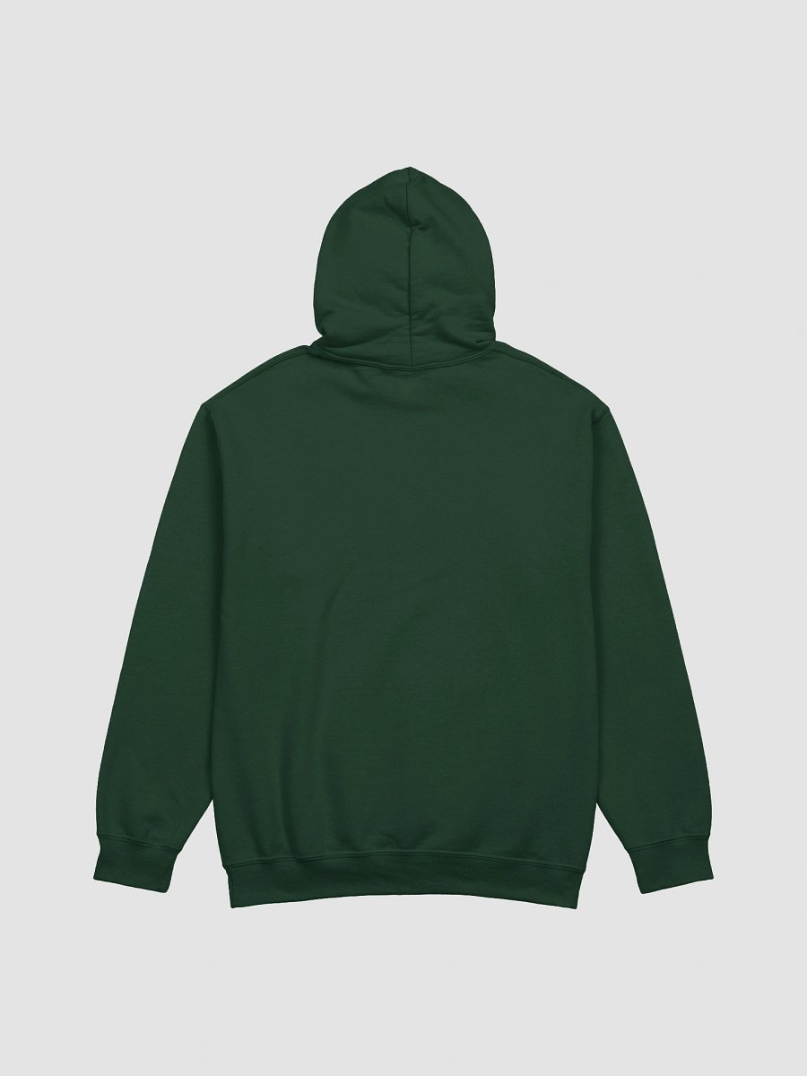 70's Styled Hoodie product image (6)